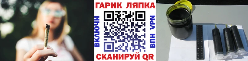 ГАШ Premium Себеж