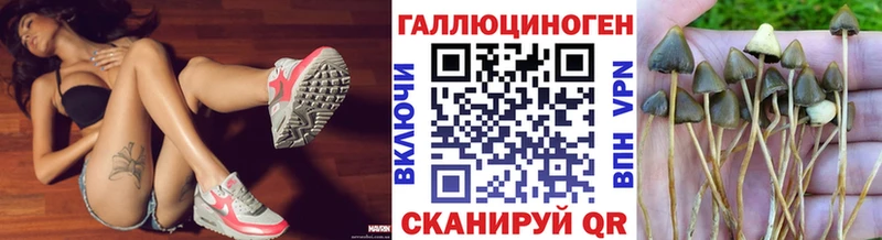 KRAKEN ТОР  Себеж  Псилоцибиновые грибы Psilocybe  закладка 